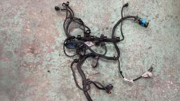Проводка моторная Ford C-Max (I) 2003-2010